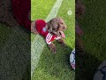 🐾 FC Bayern kit on, dribbling like a real pro – it doesn’t get better than this ❤️
