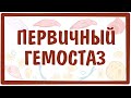 [физиология] — Первичный (сосудисто-тромбоцитарный) гемостаз