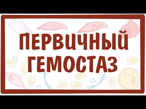 Видео: Разница между тромбоцитами и факторами свертывания