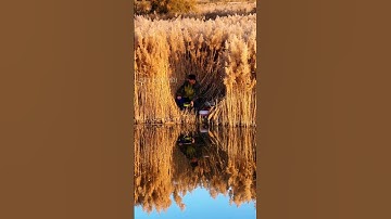 Chỗ câu cá lý tưởng của các cần thủ