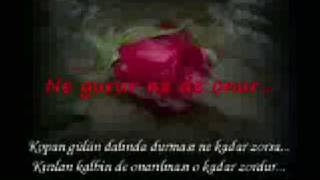 Cankan - Acıların Tadındayım Resimi