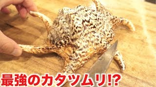 最強のカタツムリ！？を食べようとしたらまさかの大苦戦に・・・