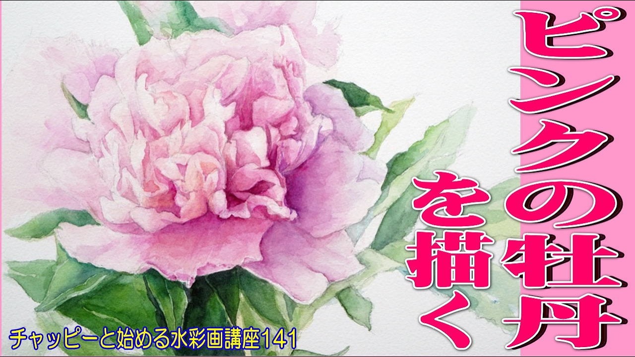 チャッピーと始める水彩画講座141 【ピンクの牡丹を描く！】watercolor paintings tutorial for beginners