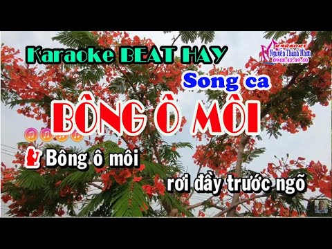 Bông ô môi