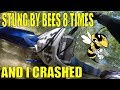 STUNG 8 TIMES &amp; I CRASHED!!!