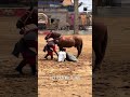 馬に乗るのが意外と難しい本当の理由 🐎