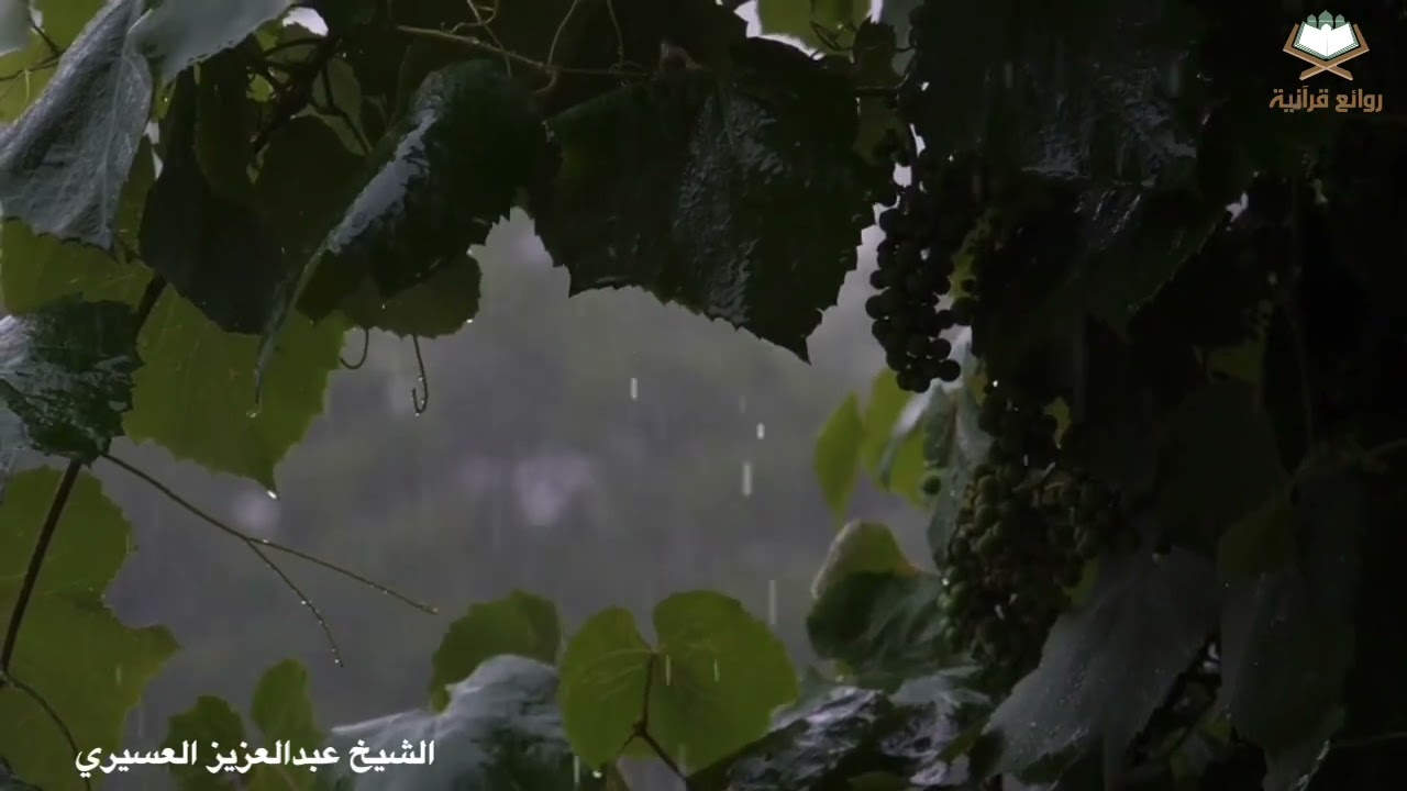 ﴿أولم ير الإنسان أناخلقناه من نطفة﴾فجرية روحانية رائعة من سورة يس للشيخ عبدالعزيز العسيري‬١٤٤٧هـ2025