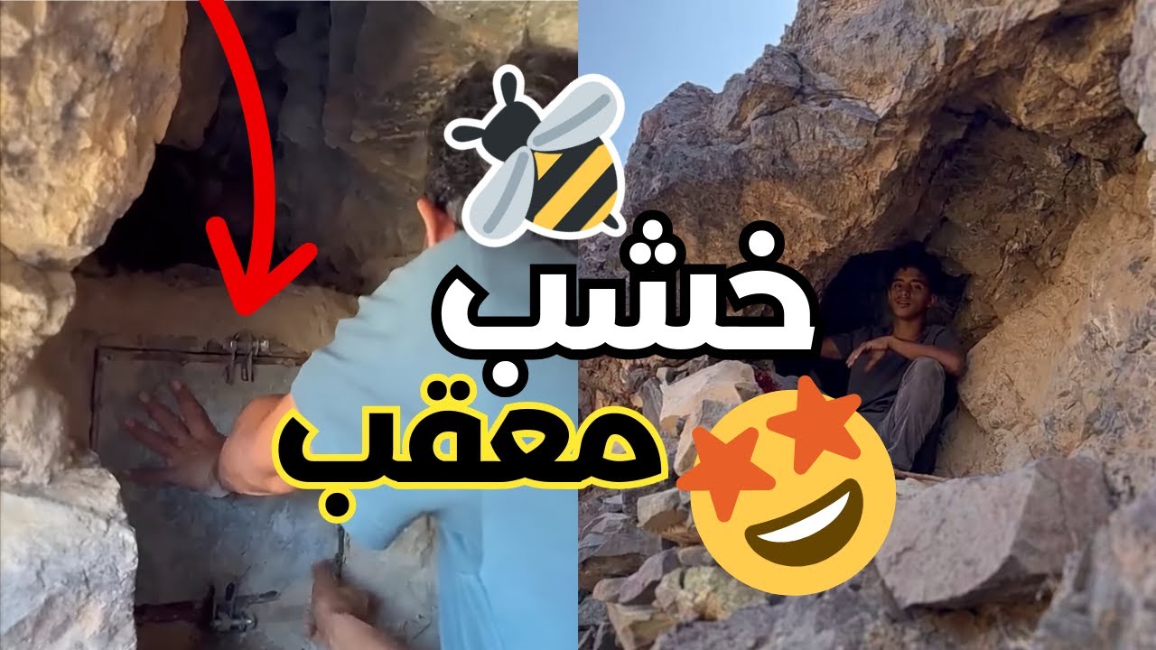 رحله سريعه ننفض فيها الخشب 🐝 (زعتور يتوعد القرود 🤣🐵)