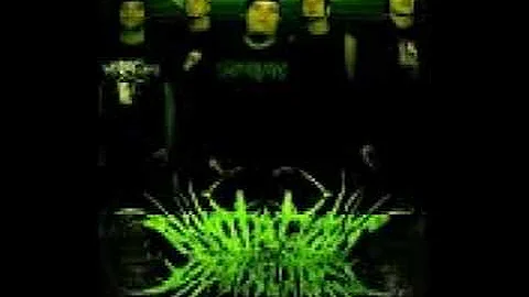 Annotations of an autopsy-Keeper of the plaguelands