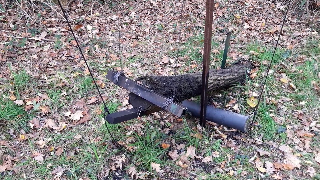 Pour les appeaux en palombière,"La croix de jésus" en action face à la tempête