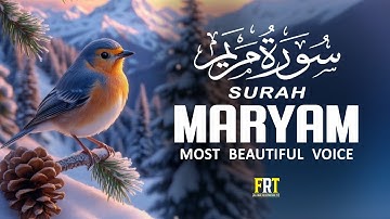 Surah Maryam سورة مريم | This Beautiful Voice Will Touch Your Heart إن شاء الله | Lofi Quran
