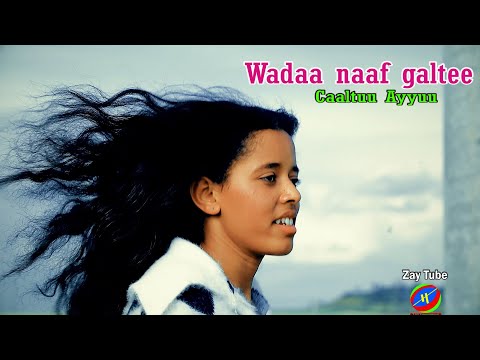 Caaltuu Ayyuu -
