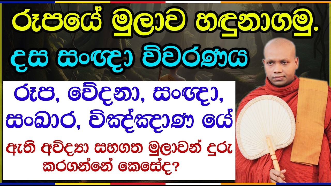 පංචස්කන්ධයේ මුලාව හඳුනාගෙන සැනසීම සොයා යමු  | Hasalaka Seelawimala Thero | 3029