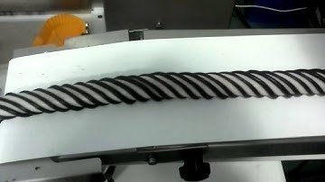 螺旋果 Twisted Cookies/Two Colors Cookies Making Machine/Production Line