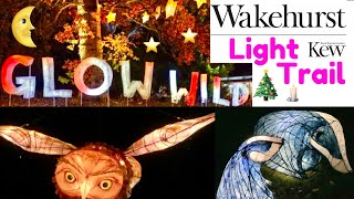 Glow Wild Wakehurst Place Kew NATURE WINTER LIGHT TRAIL, Award winning light trail Sussex