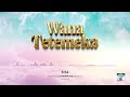 Wana tetemeka by kmb gaspard  la trompette celeste audio officiel