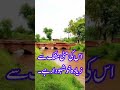 کوثر جنت میں نہر | Shahid Islamic info #youtubeshorts #islamicstatus #yt #explore #ytviral