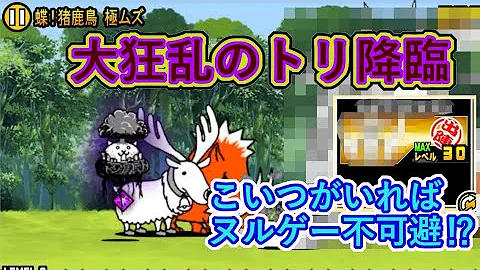 تحميل 大狂乱のトリ 簡単攻略