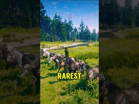 Don't miss these Horses in RDR2 🐴🔥
