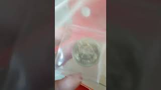 unboxing of the 1986 commonwealth games 2 pound coin