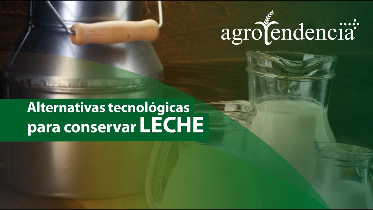 Métodos de conservación de la leche cruda