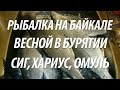 ВЕСЕННЯЯ РЫБАЛКА В БУРЯТИИ НА БАЙКАЛЕ. ЛОВЛЯ ХАРИУСА, СИГА, ОМУЛЯ НА ЧИВЫРКУЙСКОМ ЗАЛИВЕ