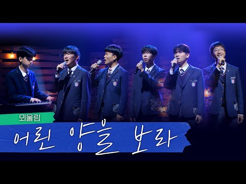 청소년 찬양 어린 양을 보라 Cover By 뫼울림