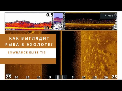 Как выглядит рыба в эхолоте? Lowrance Elite Ti2