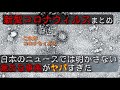 新型コロナウイルス調べたら激ヤバだった