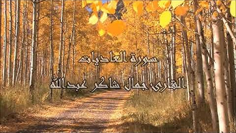 سـورة العاديات ، القارئ جمال شاكر عبدالله