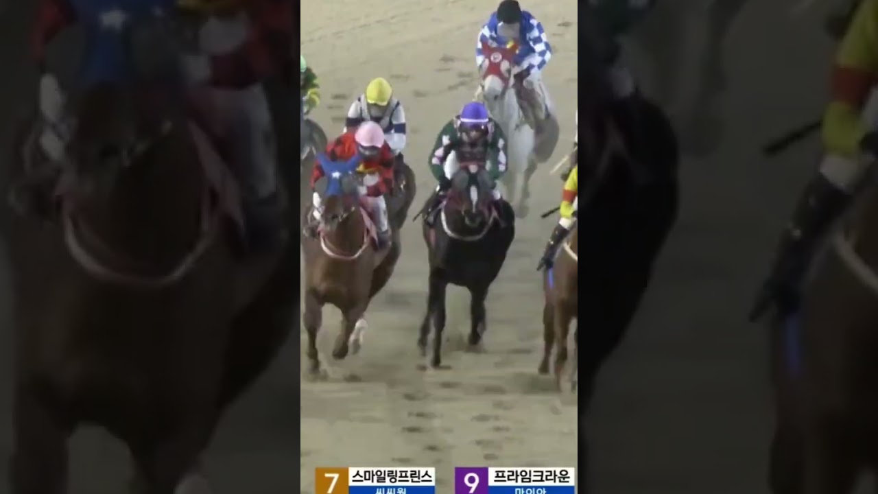 복연살것 1-5