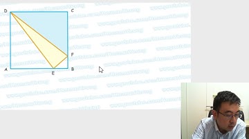 Herman Yeung - DSE Maths (Core) PP 2021/II/Q20 (version 1) (B天書內容)