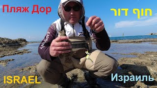 חוף דור ,דיג ,לוקוס ,דג סלע Fishing in Israel Рыбалка в Израиле Пляж Дор ,локус,бычок