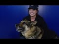 Marine Who Fought to Adopt K-9 Partner in Iraq Is Now a Movie, 'Megan Leavey'