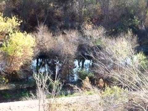 13340 Loumont St, Whittier, CA home video tour