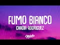 Chadia rodriguez  fumo bianco testo  lyrics