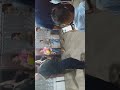 Kepai - kepai menyambut tahun baru 2019