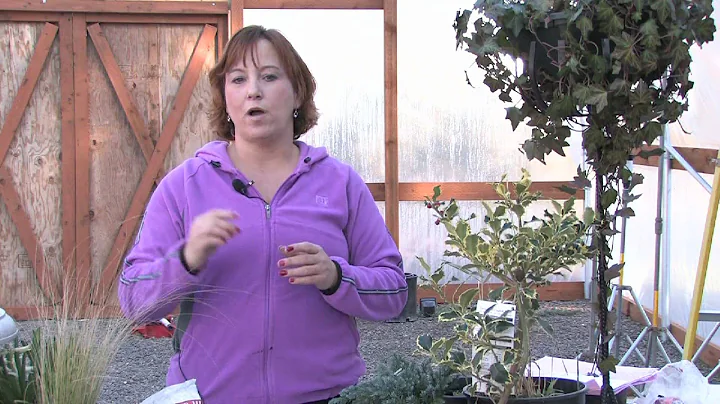 Gardening Tips : How to Prune Oleander - DayDayNews