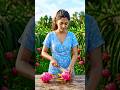 Dragon Fruit Cutting 🍉✨ Satisfying ASMR #shorts