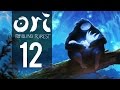Blind Forest Gameplay Part Charge
