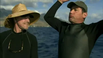 "Ocean Giants: Exploring Whales and Dolphins - PBS Nature Documentary Series"