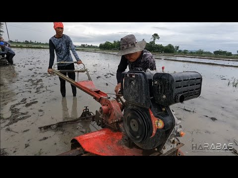 Video: Hyperborea - ang Griyego ay tumawid sa ilog