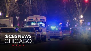 SWAT incident ends after more than 12 hours in Irving Park