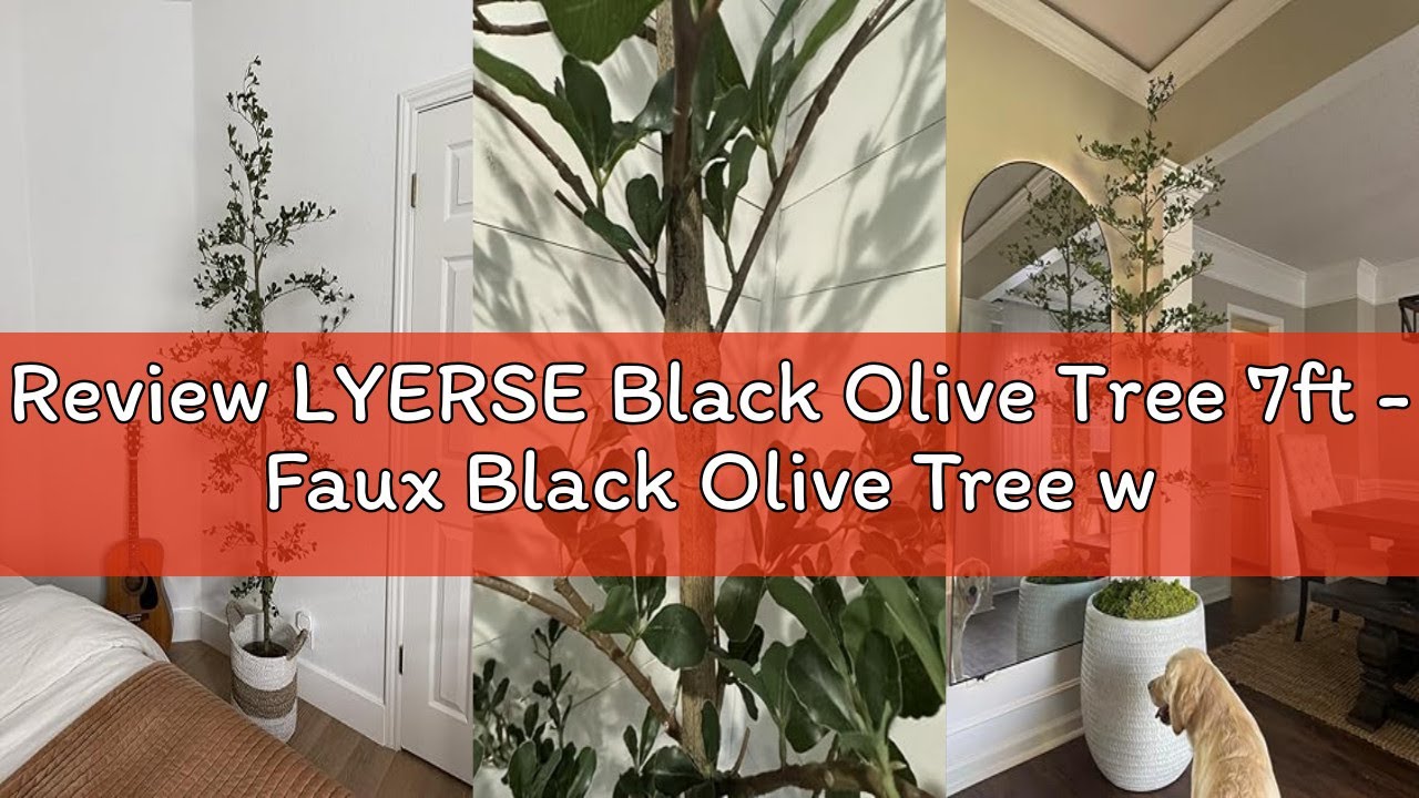 Review LYERSE Black Olive Tree 7ft - Faux Black Olive Tree with Natural ...