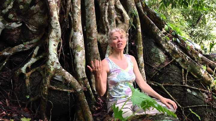 Meditation in Nature with Laura Cornell