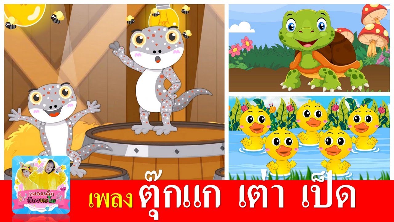 เพลงเด็ก ตุ๊กแก เต่า เป็ด | ตุ๊กแก | เต่าเอ๋ยเต่า | เป็ดก้าบก้าบ