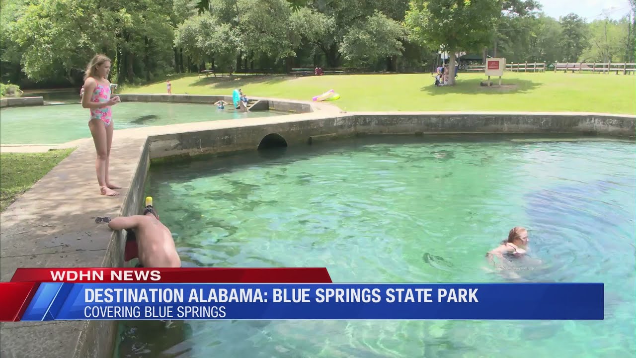 Destination Alabama Blue Springs State Park YouTube