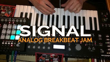 SIGNAL: ANALOG BREAKBEAT JAM