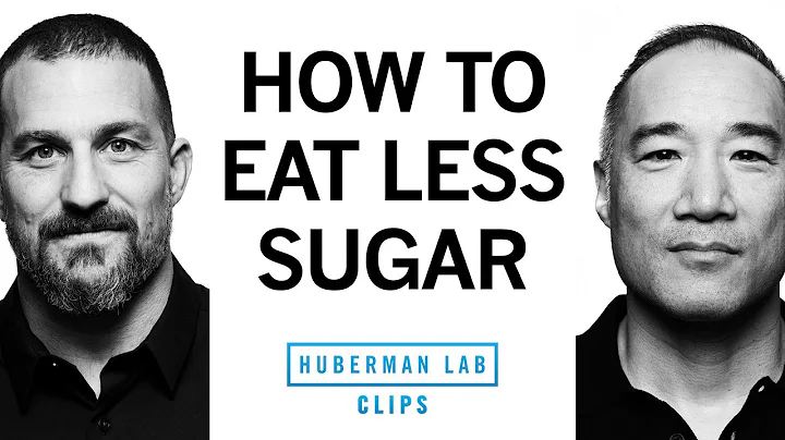 How to Manage Daily Sugar Consumption | Alan Aragon & Dr. Andrew Huberman