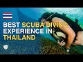 Top 10 Best Places In Thailand For Scuba Diving